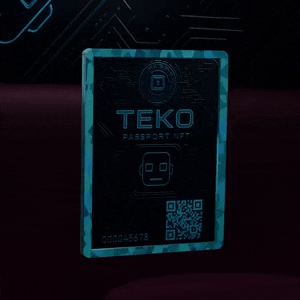 TEKO Passport NFT